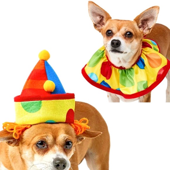 Rubies Pet Shop Boutique Dog Clown Collar & Hat Combo Costume NWT - Picture 5 of 9
